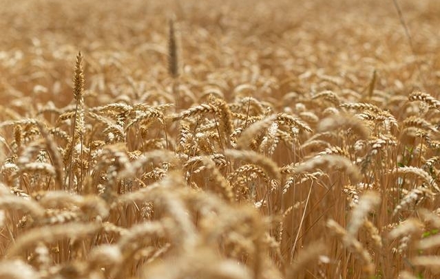 Fotografia propiedad S225